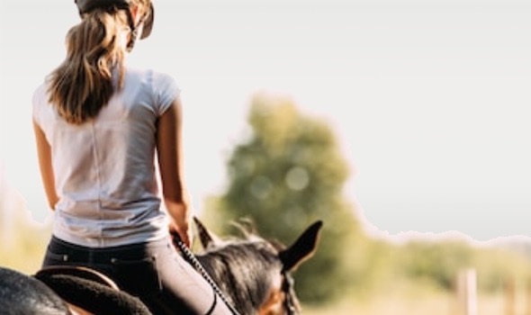 Materiel equitation, equipement cheval et cavalier, sellerie en ligne -  Horze