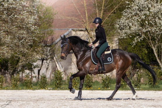 Tapis & bonnet Forestier noir occasion