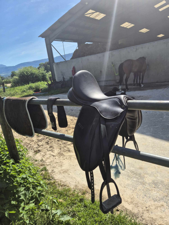 Selle dressage Waldhausen 17,5 pouces occasion