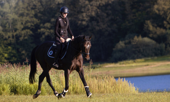 Tapis & bonnet Forestier noir occasion