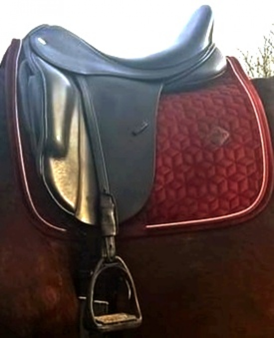 Selle dressage Fairfax 18 pouces (2019) occasion