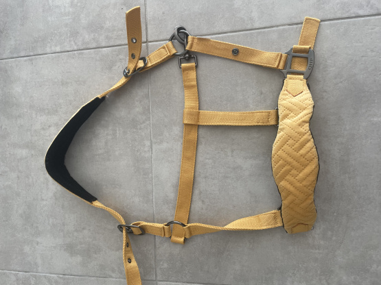 Licol QHP jaune (grand cheval) occasion