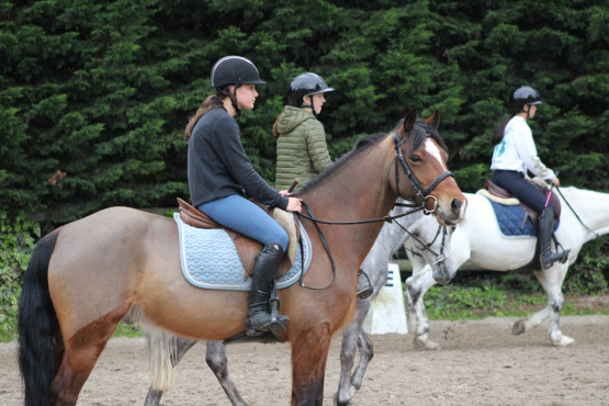 Tapis de selle Kentucky bleu ciel (cheval) occasion