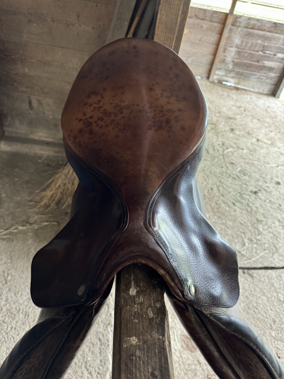 Selle mixte Forestier 17.5 pouces (2000) occasion