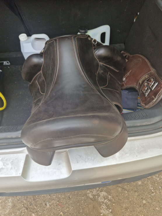 Selle dressage Forestier Aachen 17,5 pouces (2019) occasion