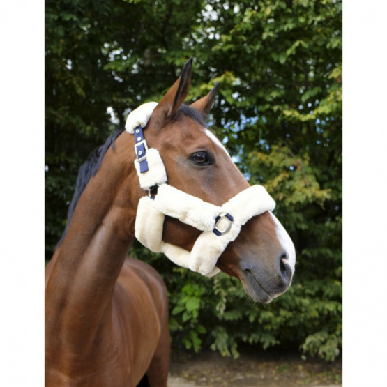 Set de licol Equitheme mouton teddy (Poney) neuf occasion