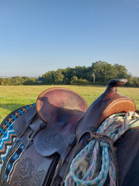 Selle western type ranch 15,5 pouces occasion