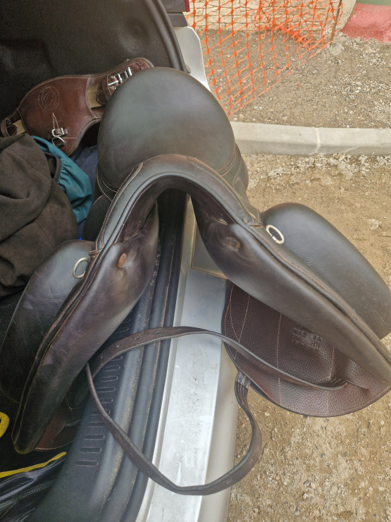 Selle dressage Forestier Aachen 17,5 pouces (2019) occasion