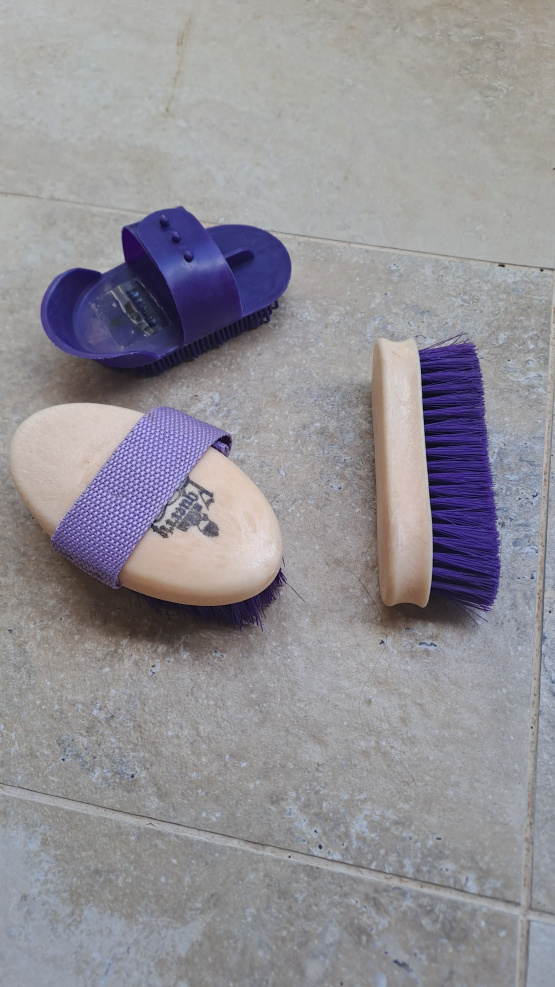 Brosses douces, bouchon étrille enfant occasion