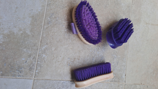 Brosses douces, bouchon étrille enfant occasion