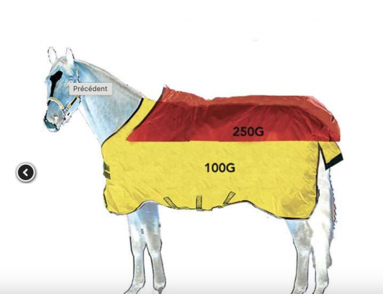 Couverture extérieur Horseware Rambo 250g 145 cm occasion