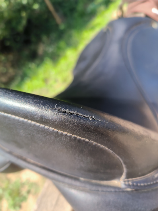 Selle dressage Isabell Werth 17.5 pouces occasion