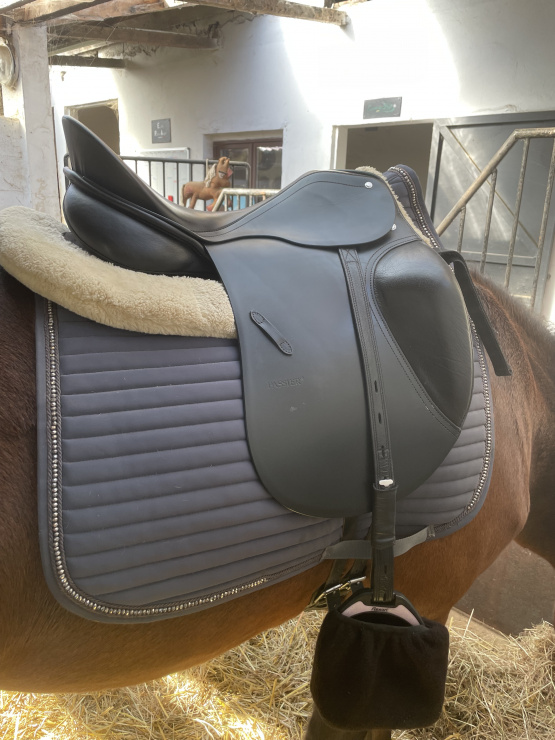 Selle dressage Passier 17 pouces occasion