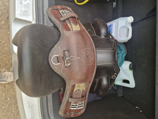 Selle dressage Forestier Aachen 17,5 pouces (2019) occasion