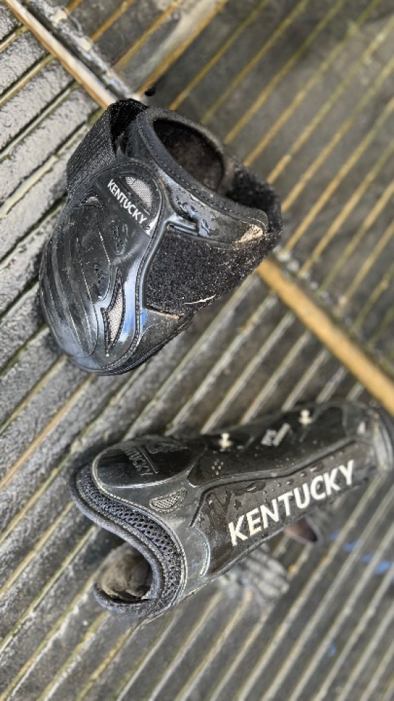 Guêtres et protège boulets Kentucky bambou occasion