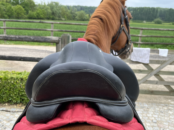 Selle dressage Forestier Aachen 17 pouces (2021) occasion