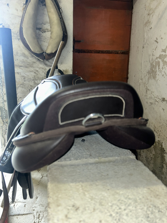 Selle mixte Norton 17 pouces (2023) occasion