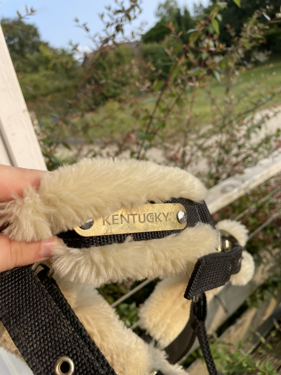 Licol Kentucky Nylon mouton Soft (poney) occasion