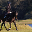 Tapis & bonnet Forestier noir occasion