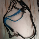 Collier de chasse & martingale bleu (cob) occasion