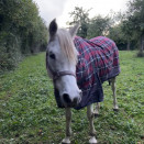 Couverture extérieur Horse Confort rouge 125 cm occasion