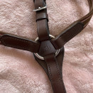 Collier de chasse HKM (cheval) neuf occasion