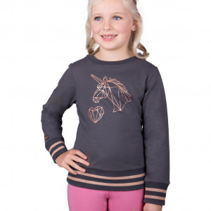 Sweat QHP didy gris (8 ans) neuf occasion