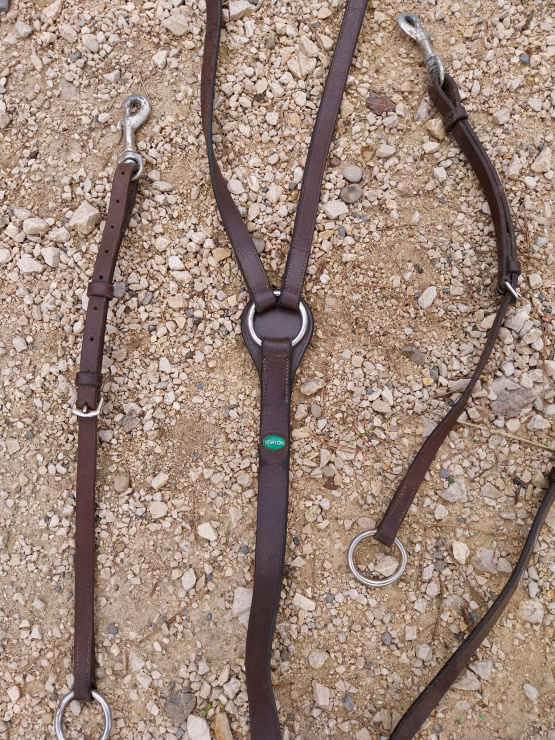 Collier de chasse avec martingale Norton occasion