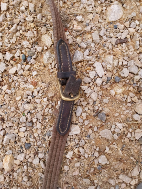 Rênes équitation marron avec arrêt occasion