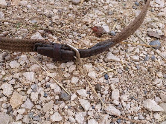 Rênes marron en tissu et cuir occasion