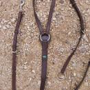 Collier de chasse avec martingale Norton occasion