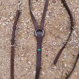 Collier de chasse avec martingale Norton