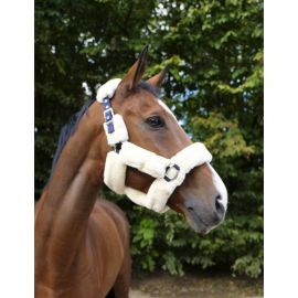 Set de licol Equitheme mouton teddy (Poney) neuf