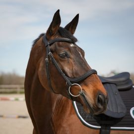 Bridon Forestier muserolle anatomique (cheval) neuf