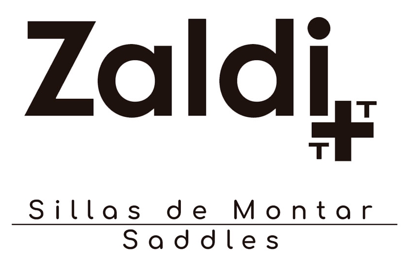 Logo Zaldi